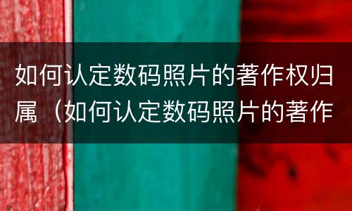 如何认定数码照片的著作权归属（如何认定数码照片的著作权归属属性）