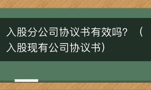 入股分公司协议书有效吗？（入股现有公司协议书）