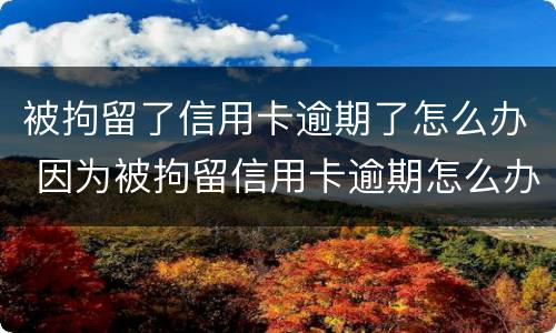 被拘留了信用卡逾期了怎么办 因为被拘留信用卡逾期怎么办