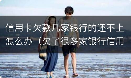 信用卡欠款几家银行的还不上怎么办（欠了很多家银行信用卡还不上怎么办）
