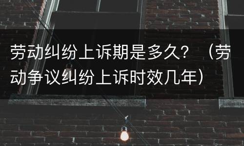 劳动纠纷上诉期是多久？（劳动争议纠纷上诉时效几年）