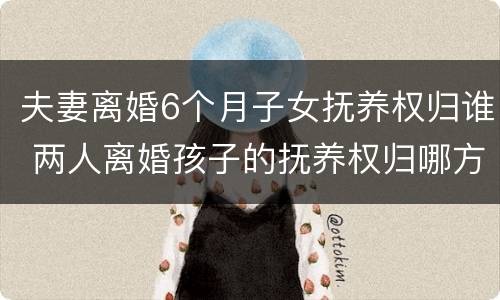 夫妻离婚6个月子女抚养权归谁 两人离婚孩子的抚养权归哪方