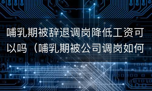 哺乳期被辞退调岗降低工资可以吗（哺乳期被公司调岗如何申请劳动仲裁）
