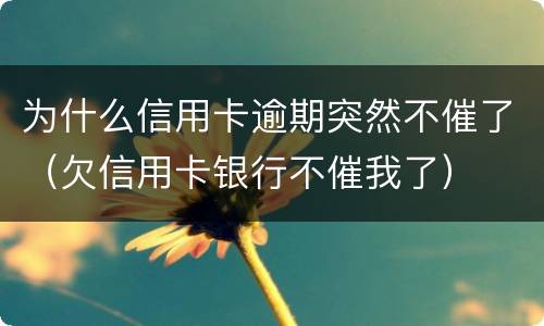 为什么信用卡逾期突然不催了（欠信用卡银行不催我了）