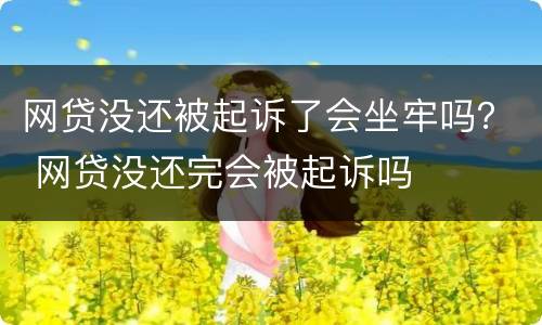 网贷没还被起诉了会坐牢吗？ 网贷没还完会被起诉吗