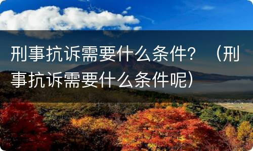 刑事抗诉需要什么条件？（刑事抗诉需要什么条件呢）