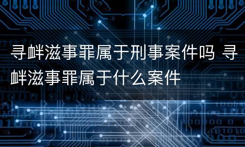寻衅滋事罪属于刑事案件吗 寻衅滋事罪属于什么案件