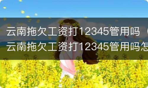 云南拖欠工资打12345管用吗（云南拖欠工资打12345管用吗怎么投诉）