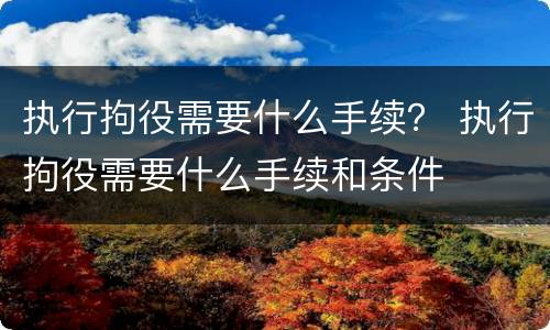 执行拘役需要什么手续？ 执行拘役需要什么手续和条件