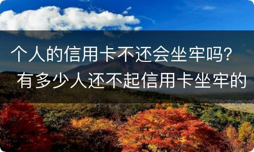 个人的信用卡不还会坐牢吗？ 有多少人还不起信用卡坐牢的