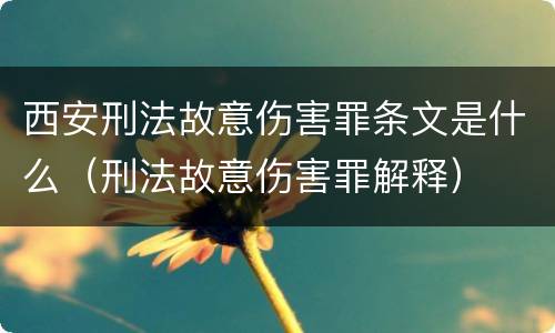 西安刑法故意伤害罪条文是什么（刑法故意伤害罪解释）