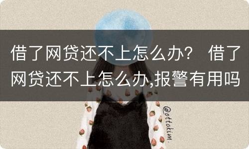 借了网贷还不上怎么办？ 借了网贷还不上怎么办,报警有用吗