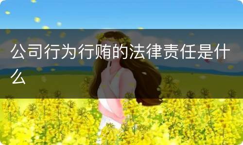 公司行为行贿的法律责任是什么