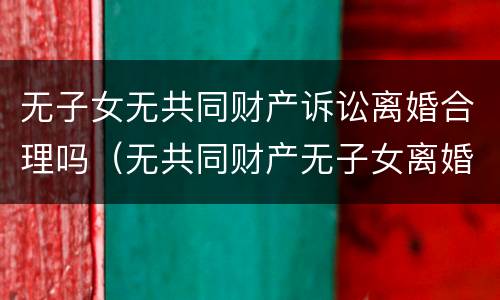 无子女无共同财产诉讼离婚合理吗（无共同财产无子女离婚起诉书范文）