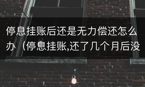 停息挂账后还是无力偿还怎么办（停息挂账,还了几个月后没钱还了怎么办）