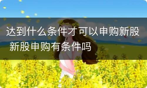 达到什么条件才可以申购新股 新股申购有条件吗