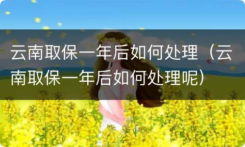 云南取保一年后如何处理（云南取保一年后如何处理呢）