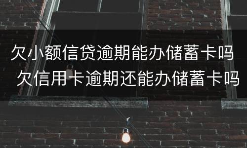 欠小额信贷逾期能办储蓄卡吗 欠信用卡逾期还能办储蓄卡吗