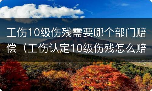 工伤10级伤残需要哪个部门赔偿（工伤认定10级伤残怎么赔偿）