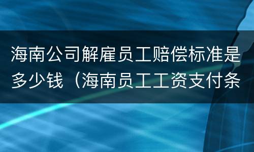 海南公司解雇员工赔偿标准是多少钱（海南员工工资支付条例）