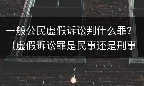 一般公民虚假诉讼判什么罪？（虚假诉讼罪是民事还是刑事）