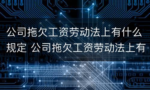 公司拖欠工资劳动法上有什么规定 公司拖欠工资劳动法上有什么规定吗