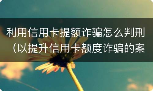利用信用卡提额诈骗怎么判刑（以提升信用卡额度诈骗的案例）