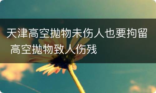 天津高空抛物未伤人也要拘留 高空抛物致人伤残