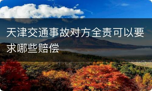天津交通事故对方全责可以要求哪些赔偿