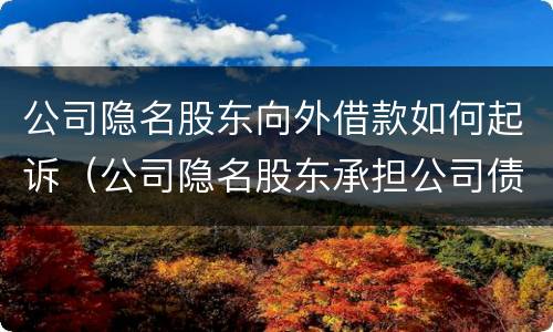公司隐名股东向外借款如何起诉（公司隐名股东承担公司债务的法律依据）