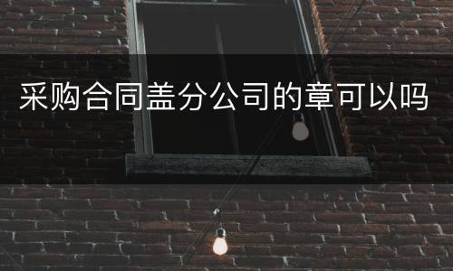 采购合同盖分公司的章可以吗