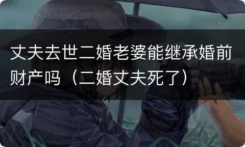 丈夫去世二婚老婆能继承婚前财产吗（二婚丈夫死了）