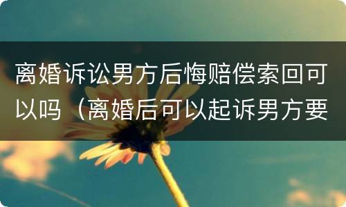 离婚诉讼男方后悔赔偿索回可以吗（离婚后可以起诉男方要求赔偿吗）
