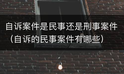 自诉案件是民事还是刑事案件（自诉的民事案件有哪些）