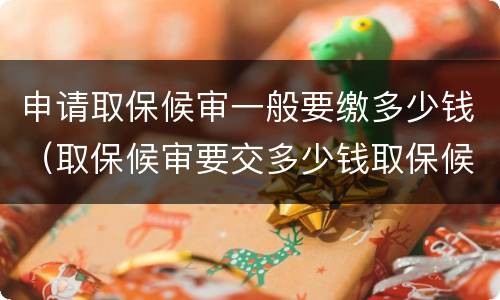 申请取保候审一般要缴多少钱（取保候审要交多少钱取保候审）