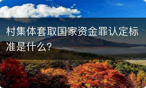 村集体套取国家资金罪认定标准是什么？