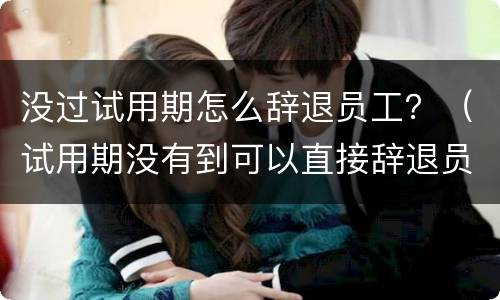 没过试用期怎么辞退员工？（试用期没有到可以直接辞退员工吗）