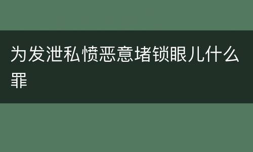 为发泄私愤恶意堵锁眼儿什么罪