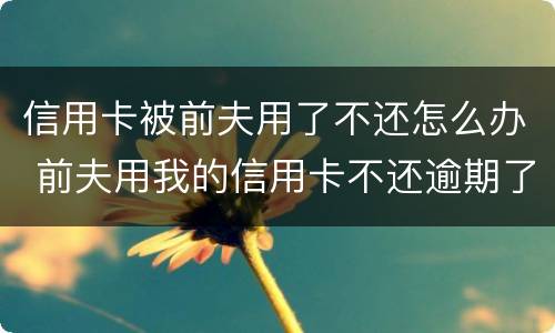 信用卡被前夫用了不还怎么办 前夫用我的信用卡不还逾期了怎么办