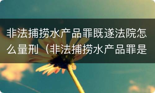 非法捕捞水产品罪既遂法院怎么量刑（非法捕捞水产品罪是行为犯吗）