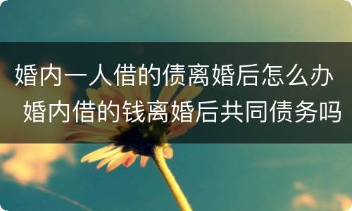 婚内一人借的债离婚后怎么办 婚内借的钱离婚后共同债务吗