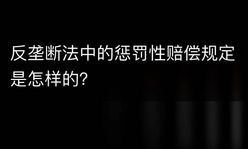 反垄断法中的惩罚性赔偿规定是怎样的？