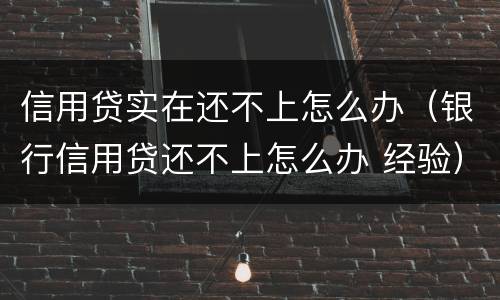 信用贷实在还不上怎么办（银行信用贷还不上怎么办 经验）