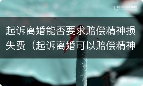 起诉离婚能否要求赔偿精神损失费（起诉离婚可以赔偿精神损失费吗）