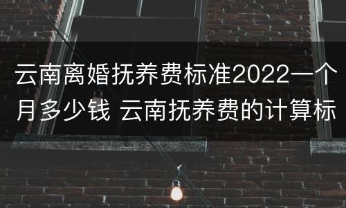 云南离婚抚养费标准2022一个月多少钱 云南抚养费的计算标准