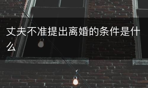 丈夫不准提出离婚的条件是什么