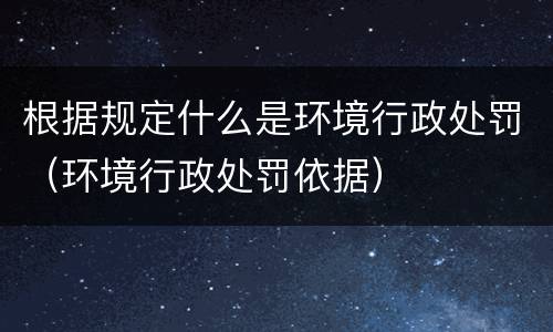 根据规定什么是环境行政处罚（环境行政处罚依据）