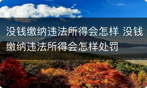 没钱缴纳违法所得会怎样 没钱缴纳违法所得会怎样处罚
