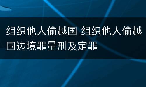组织他人偷越国 组织他人偷越国边境罪量刑及定罪