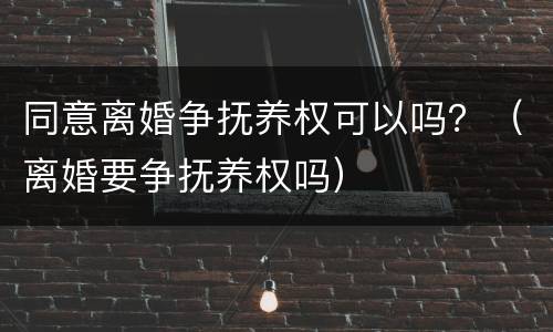 同意离婚争抚养权可以吗？（离婚要争抚养权吗）
